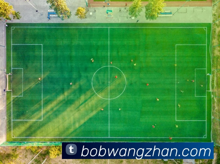 半岛bob平台生态图